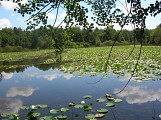 Etang de But, ENS de l'Ain