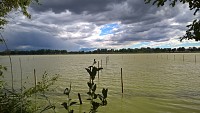 Etang du Grand Birieux, ENS de l'Ain