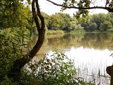 Domaine de Vernange, ENS de l'Ain