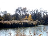 Réserve départementale de la Dombes, ENS de l'Ain