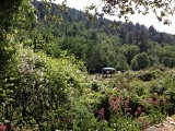 La Roseraie de Berty