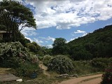La Roseraie de Berty