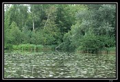 Espaces Naturels Sensibles en Val d'Essonne