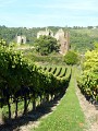 Château de Larnage