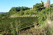 Château de Larnage