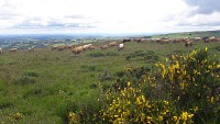 Site archéologique de Rissergues