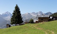 La Cour