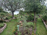 Jardin botanique_1