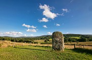 Statue-menhir de la Pierre Plantée (Peyro Levado)
