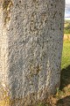 Statue-menhir de la Pierre Plantée (Peyro Levado)