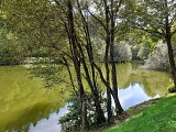 Lac de la Broussonnié