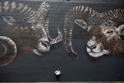 Murs et Façades Street Art d'Aussillon