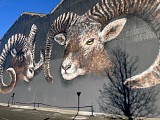 Murs et Façades Street Art d'Aussillon