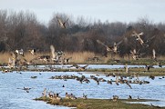 A l'entour de Sainte-Marie-du-Mont