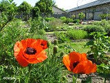 Conservatoire National des Plantes