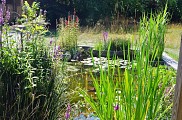 Conservatoire National des Plantes