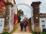 Le Château de Monluc