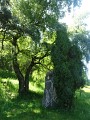 Parc des Pèlerins