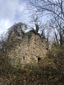 Ruines du château de Mahun