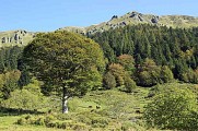 GR400-boucle-de-la-vallee-d-alagnon