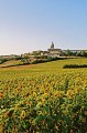 SAINT FELIX LAURAGAIS