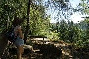 Sentier nature du Loosthal