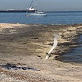 Plage naturiste de Bonnieu