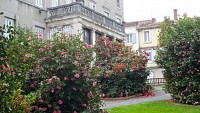 Jardin des Camélias