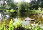 Jardin des Promenades