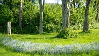 Parc de la Molière