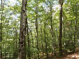 La Chabanne