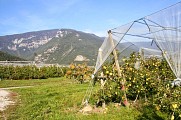 Boucle pédestre : dans les couloirs du temps
