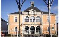 Bat Mauléon