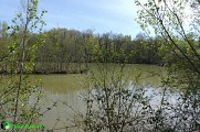 Le bassin Nicou