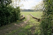 Pont Bossu