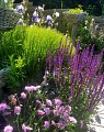 Les Jardins des Hurlevents