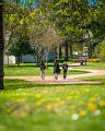 Parc Barbereau