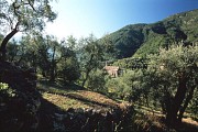 Natura 2000 : Sites à chauve-souris de Breil-sur-Roya