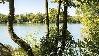 Le Bois des Naix