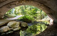 Le Bois des Naix