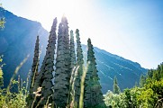 Molines-en-Champsaur
