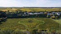 La Grande Vignolle