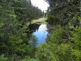 La Tourbière du Lac Noir