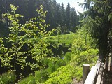 La Tourbière du Lac Noir