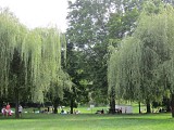 Parc du Forézan