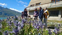 Le Jardin Alpin du Mont-Cenis