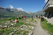Le Jardin Alpin du Mont-Cenis