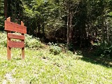 Arboretum de Tessens