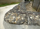 Un vestige unique