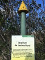 Oppidum de Jastres